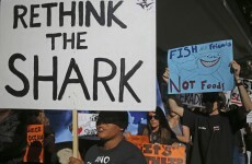 Militant group seeks injunction to stop shark killing