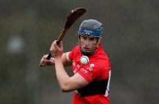 How do the four teams on the hunt for the Fitzgibbon Cup title rank?