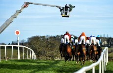 Turf Club step up anti-doping fight in Irish horse racing
