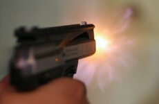 Gun control review sparks calls for compensation schemes