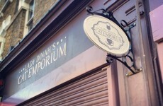 London's first ever cat cafe opened yesterday and it's a thing of wonder