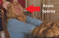 Jimmy Kimmel's star studded Keyboard Cat parody is phenomenal