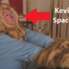Jimmy Kimmel's star studded Keyboard Cat parody is phenomenal