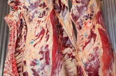Investigation into which businesses were supplied by 'illegal slaughter plant'