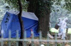 Man, 20, arrested over Phoenix Park murder