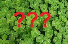 9 people with unexpected Irish ancestry