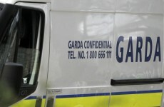 12 arrested and 8 shotguns seized in garda operation targeting burglary gang