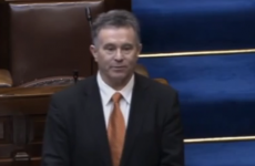 VIDEO: Dáil hears about 'three-day festival and orgy organised by the government'