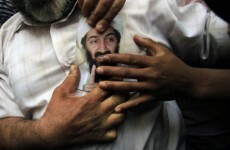 Bin Laden's sons call for evidence of father's death