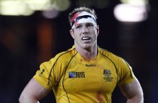 David Pocock cruelly ruled out of another Super Rugby season after knee surgery