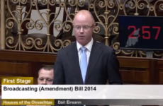 'Anti-Pantigate' bill tabled in the Dáil to stop "the litigious and thin-skinned"