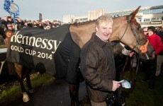Philip Fenton's horses cleared to run at Cheltenham following investigation