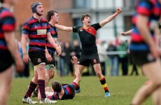 Schools Cup: Munchin's mauled as Ardscoil Rís advance to Munster final