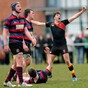 Schools Cup: Munchin's mauled as Ardscoil Rís advance to Munster final