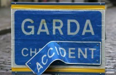 Pedestrian killed and driver injured in collision near Bray