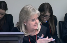 Angela Kerins was ‘short on the full detail’, PAC wants more info from Rehab