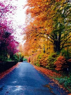 These are the sights Irish people would miss most