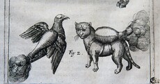 Meet the 16th century jet pack-wearing rocket cats