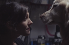 This heart-melting car advert will make any dog lover weep
