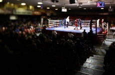 10 titles on the line as Ireland's top boxers meet in the National Championship Finals