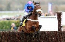 Cue Card out for the season with stress fracture