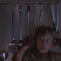 What if all the raptors in Jurassic Park were cute kittens?