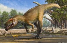 Newly-discovered dinosaur was the T Rex of its day*