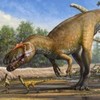 Newly-discovered dinosaur was the T Rex of its day*
