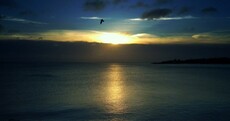 It's been a beautiful day, hasn't it?