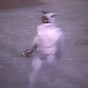 Burglar caught on CCTV robbing a charity shop in a G-string