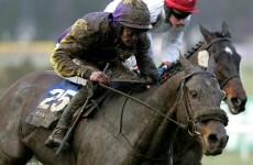5 excuses to use if your horse loses at Cheltenham next week