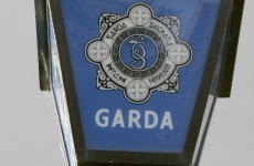 Gardaí seize large amount of cash in two raids on houses in north Dublin