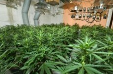 Man charged after €130k drugs seizure in Wicklow