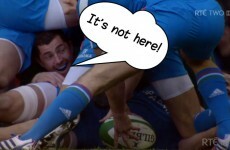 Irish rugby player offers reward for the safe return of his missing jacket