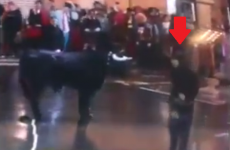 Madrid midfielder Illarremendi filmed running with a bull... while dressed as Batman