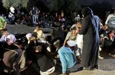 Some Syrians are 'eating cats and dogs' to survive