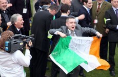 12 Irish horses to watch at the 2014 Cheltenham Festival