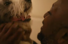 This heartwarming dog adoption ad is a rollercoaster of emotions