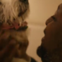 This heartwarming dog adoption ad is a rollercoaster of emotions