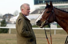 7 numbers showing why you should back Willie Mullins at Cheltenham