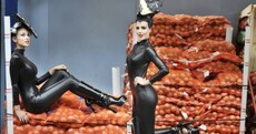 Caption competition: Ladies! Know yer onions.