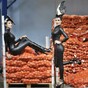 Caption competition: Ladies! Know yer onions.