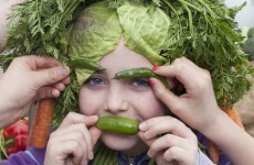 5,000 Corkonians to be fed with curry... made from food 'waste'