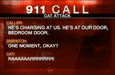 Family call 911 after angry fat cat holds them hostage