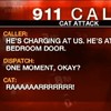 Family call 911 after angry fat cat holds them hostage