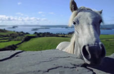 Gorgeous Irish montage will remind you why there's no place like home