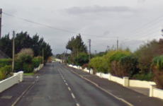 Paramedic dies after 4x4 crashes into pole in Laois