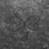 Irish scientists etch the tiniest shamrock you will ever see*