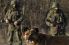 Tatars urge NATO to intervene in Ukraine "before there is a massacre"