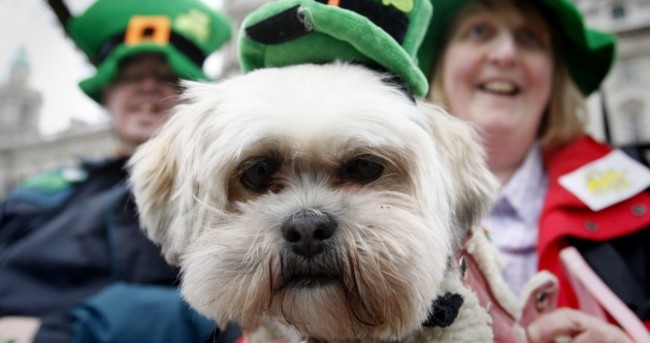 500,000 people, 1 event… It’s the St. Patrick’s Day Parade in numbers